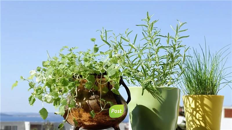 jardines regenerativos